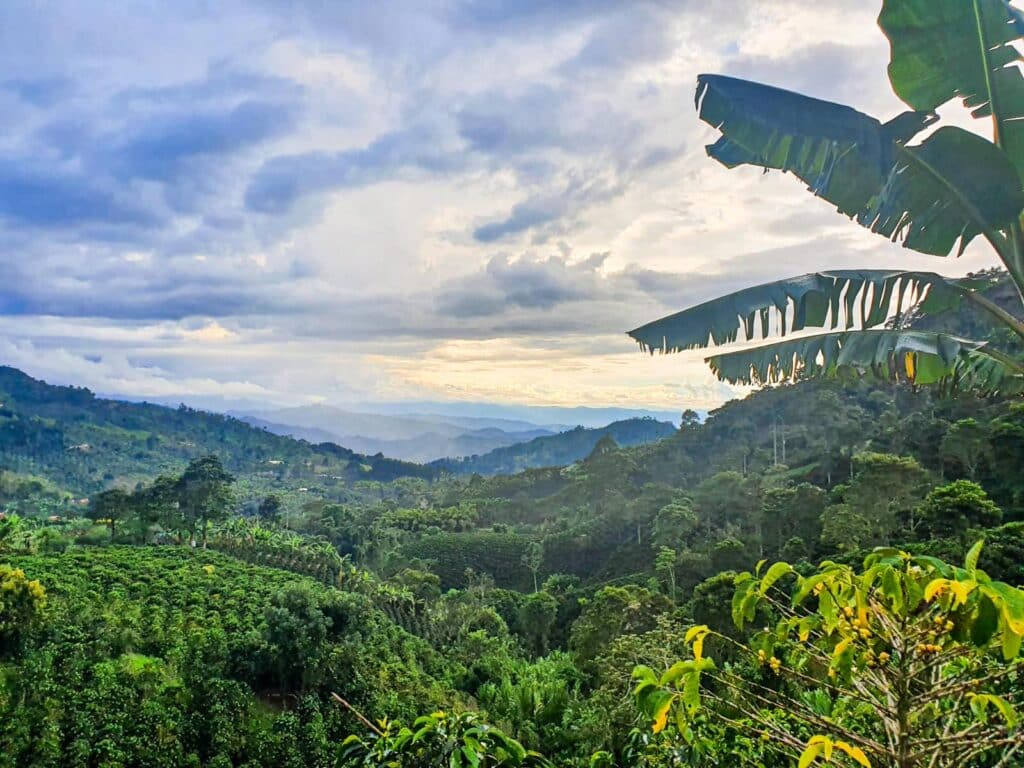 Vista Glamping Jardín