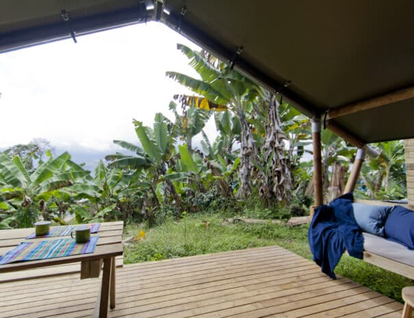 glamping tent outside area