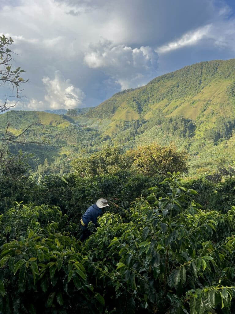 Panoramic view of mountains surrounding a coffee farm in Jardín, Colombia, with lush green hills and misty peaks in the distance