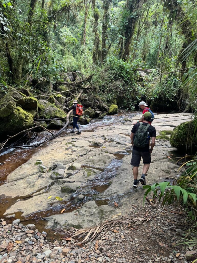 Hiker pulling themselves up with a rope on a steep section of the trail.