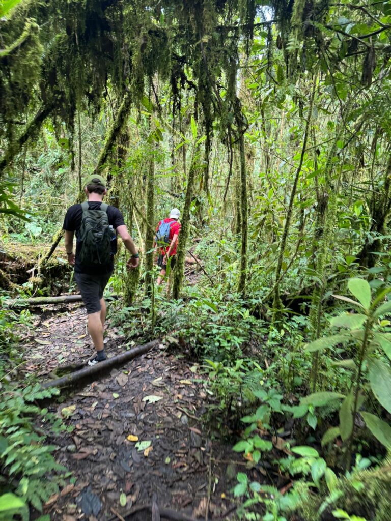 aterfall surrounded by lush greenery on the 7 Waterfalls Hike