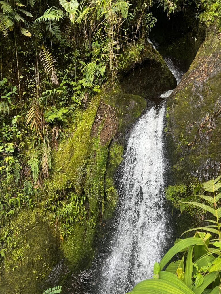 A cascading waterfall with clear, rushing water on the rocky slope of Jardin's 7 Waterfalls Hike