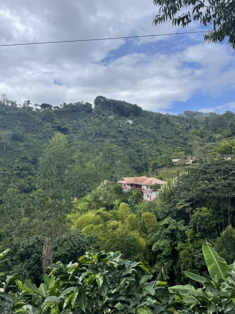 finca view