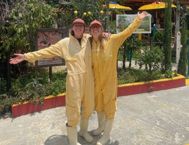 bee tour jardin
