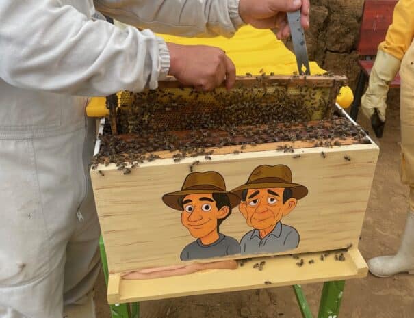 bee tour jardin
