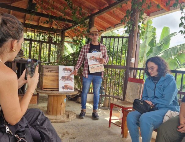 bee tour jardin