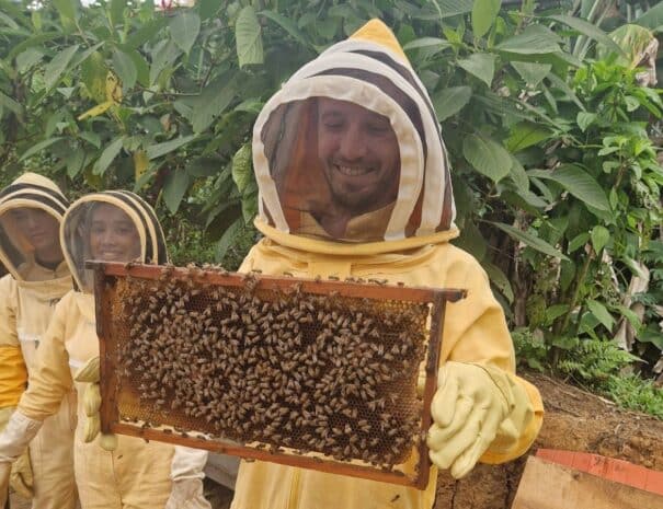 bee tour jardin
